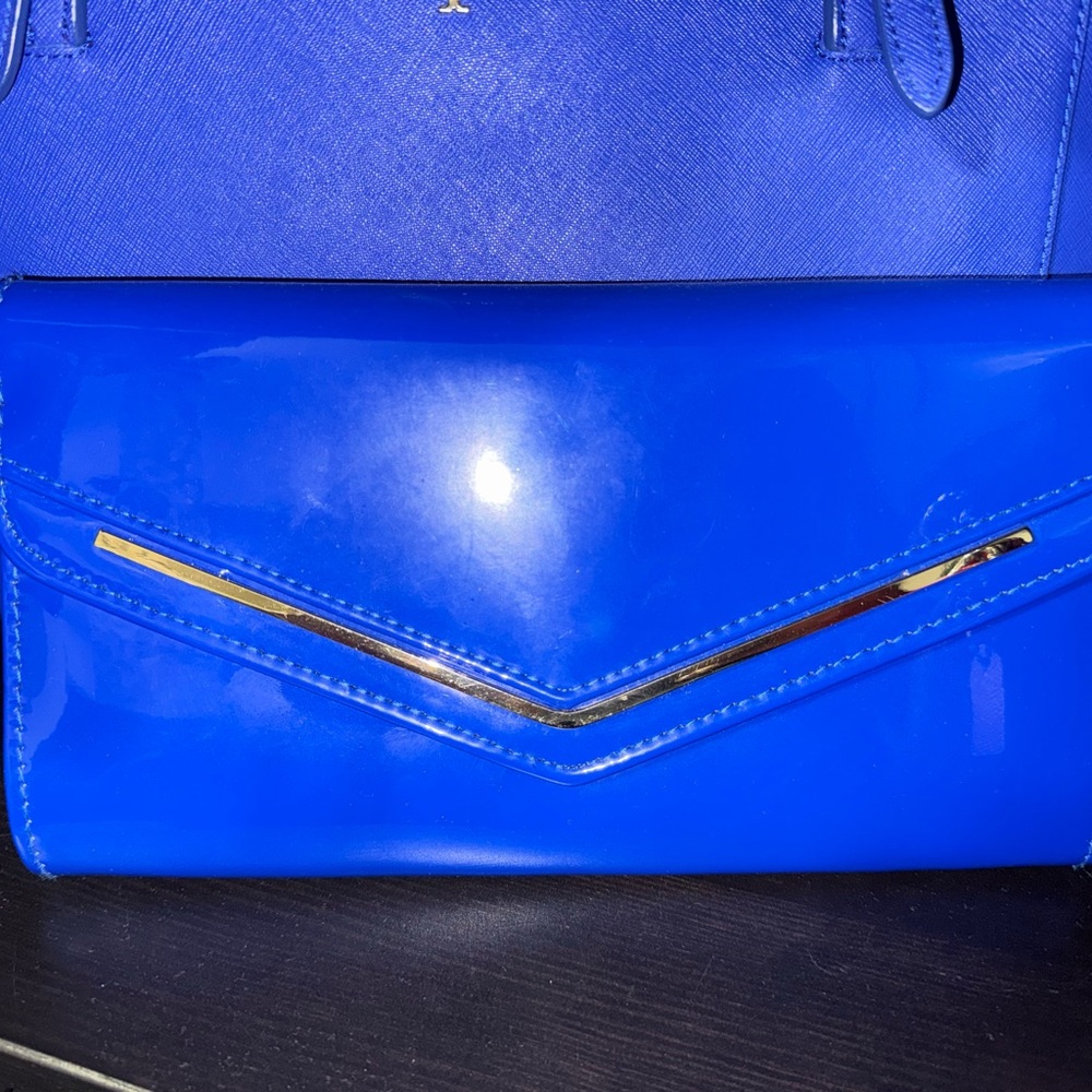 Elegant Blue ALDO Women's Clutch